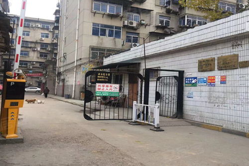 西安玻璃制品廠家屬院深度解析 優點、不足與周邊市場觀察