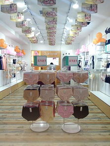閨秘內(nèi)衣品牌市場(chǎng)版圖持續(xù)擴(kuò)張，山西再添新加盟店彰顯行業(yè)吸引力
